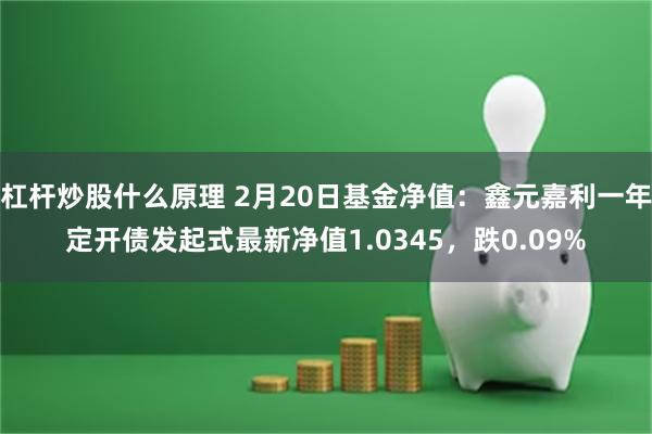 杠杆炒股什么原理 2月20日基金净值：鑫元嘉利一年定开债发起式最新净值1.0345，跌0.09%