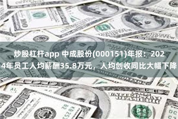 炒股杠杆app 中成股份(000151)年报：2024年员工人均薪酬35.8万元，人均创收同比大幅下降