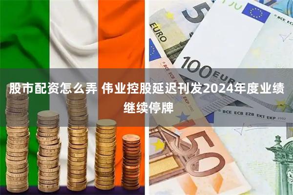 股市配资怎么弄 伟业控股延迟刊发2024年度业绩 继续停牌