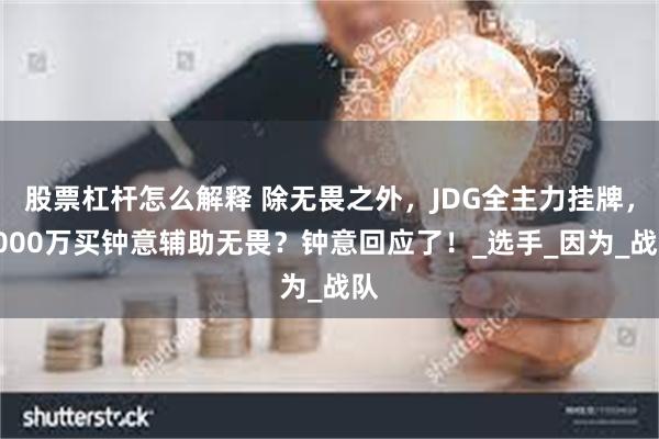 股票杠杆怎么解释 除无畏之外，JDG全主力挂牌，8000万买钟意辅助无畏？钟意回应了！_选手_因为_战队