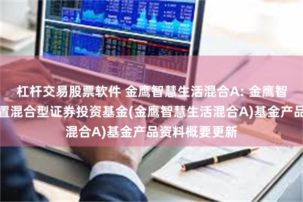 杠杆交易股票软件 金鹰智慧生活混合A: 金鹰智慧生活灵活配置混合型证券投资基金(金鹰智慧生活混合A)基金产品资料概要更新
