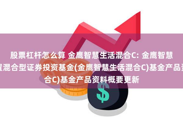 股票杠杆怎么算 金鹰智慧生活混合C: 金鹰智慧生活灵活配置混合型证券投资基金(金鹰智慧生活混合C)基金产品资料概要更新