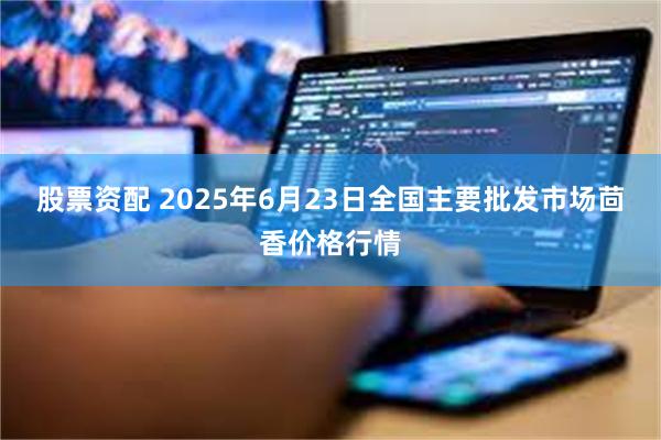 股票资配 2025年6月23日全国主要批发市场茴香价格行情