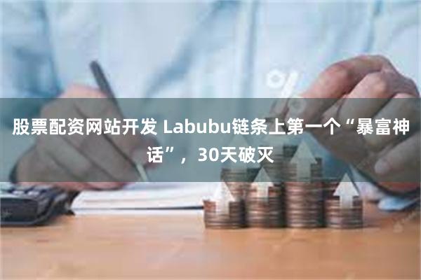 股票配资网站开发 Labubu链条上第一个“暴富神话”，30天破灭