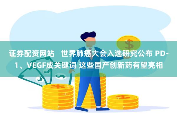 证券配资网站   世界肺癌大会入选研究公布 PD-1、VEGF成关键词 这些国产创新药有望亮相