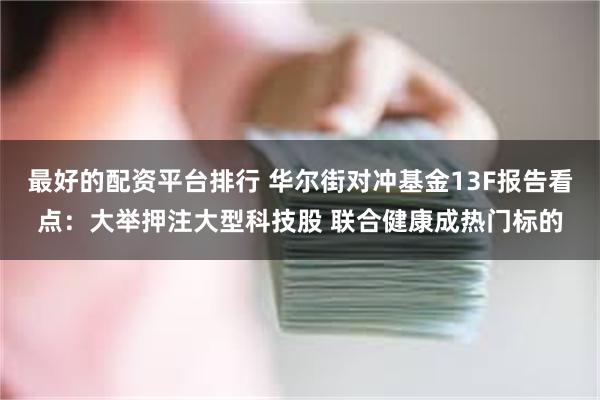 最好的配资平台排行 华尔街对冲基金13F报告看点：大举押注大型科技股 联合健康成热门标的